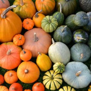 A variety of healthy food for fall including squash.